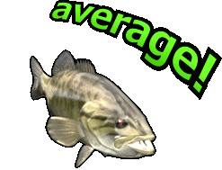 a fish saying 'average!'