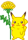 pikachu holding a yellow flower